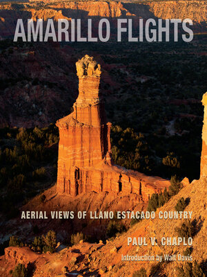 cover image of Amarillo Flights